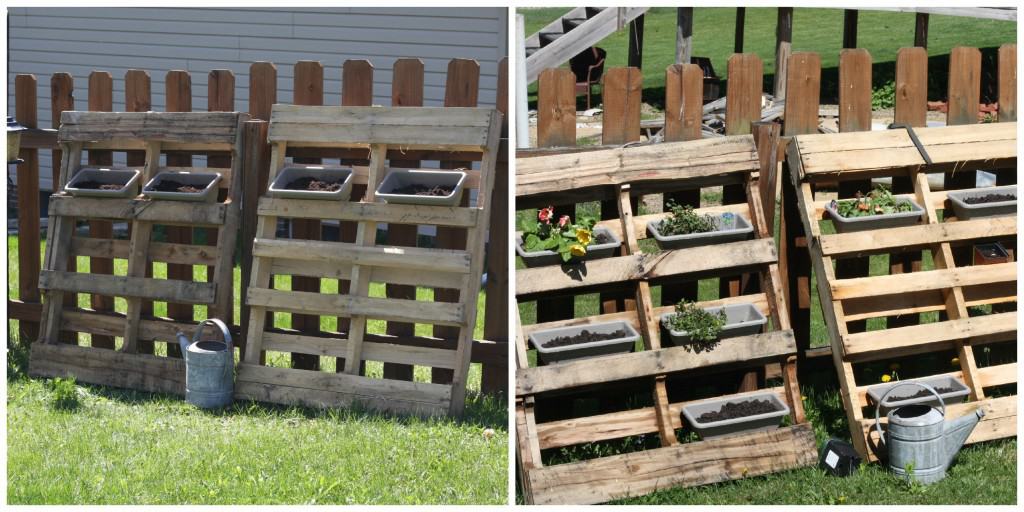 MyGardenProgression