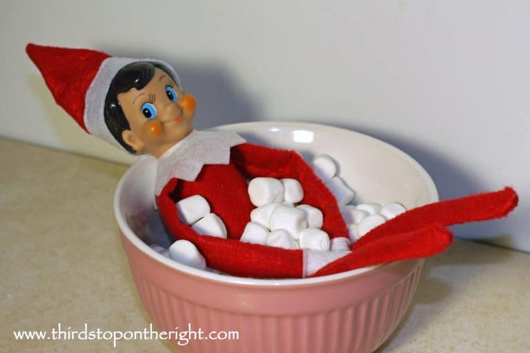 Does your family have an Elf on the Shelf?