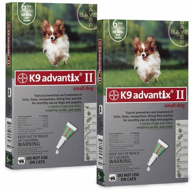 K9 Advantix II and Diatomaceous Earth Help Combat Fleas