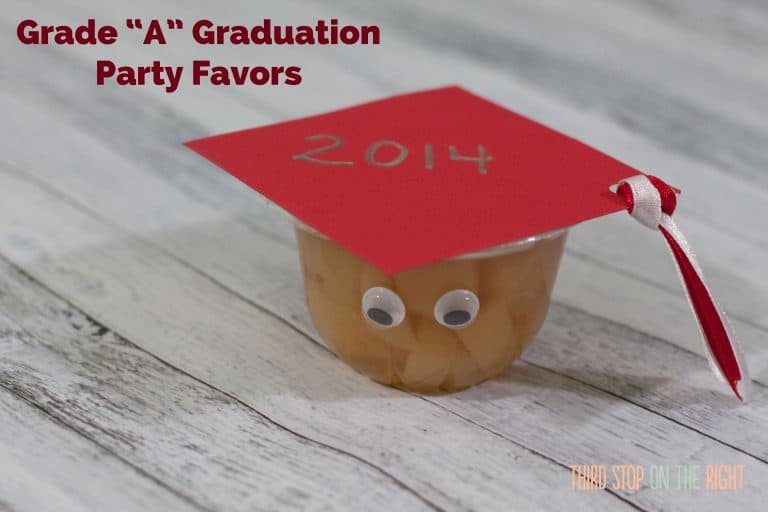 Allergy-Free Fruit Cup Graduation Party Favors