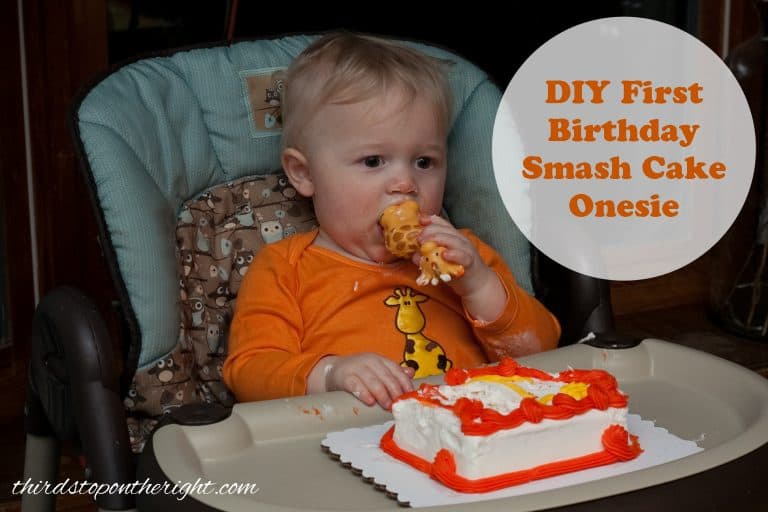 DIY First Birthday Smash Cake Onesie