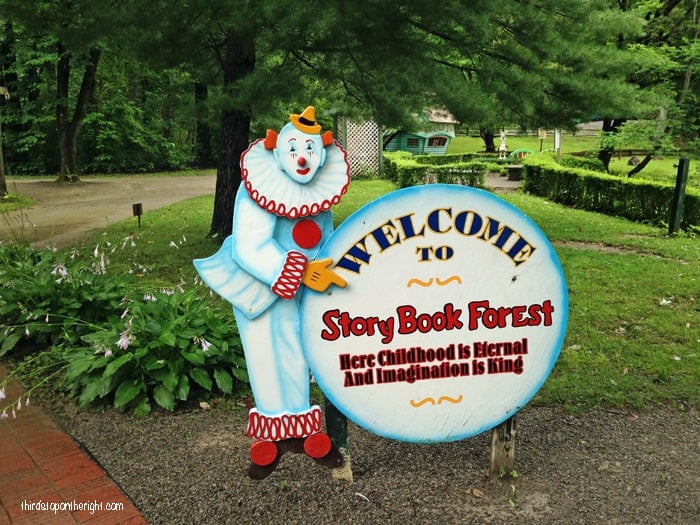 Storybook Forest