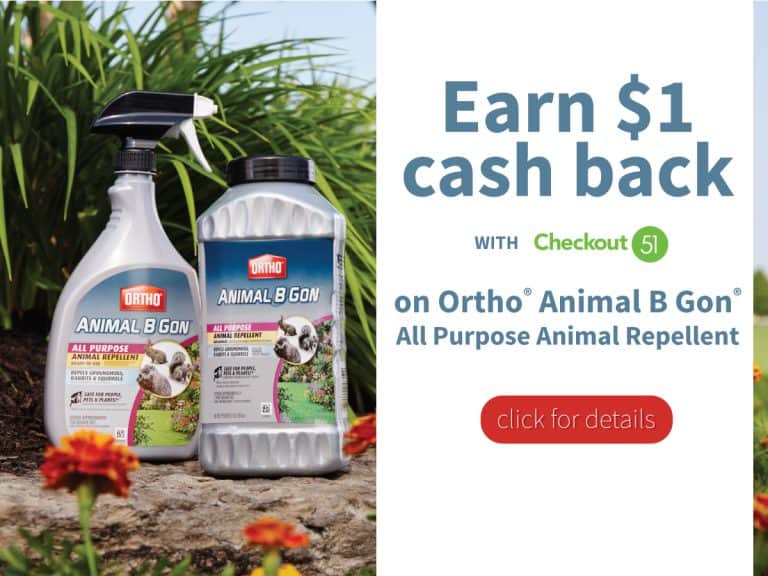 Ortho® Protects Your Yard AND Your Wallet This Summer