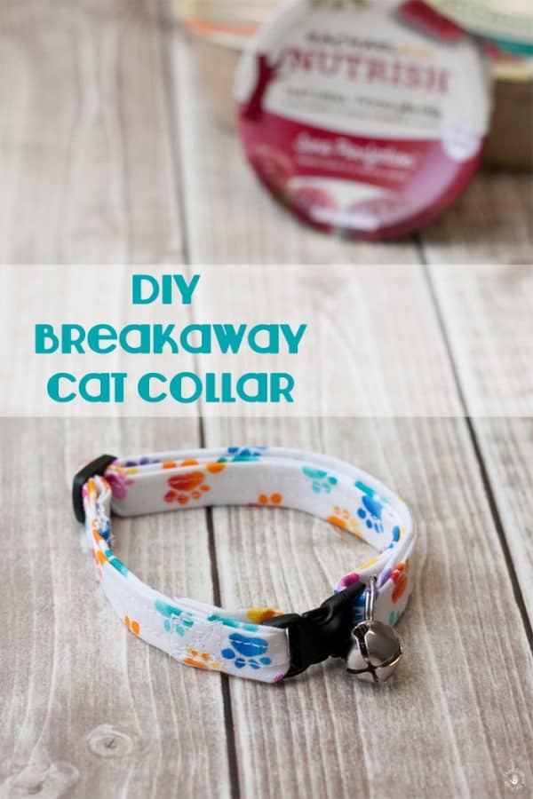 How to Create a Homemade DIY Cat Collar- Third Stop on the Right