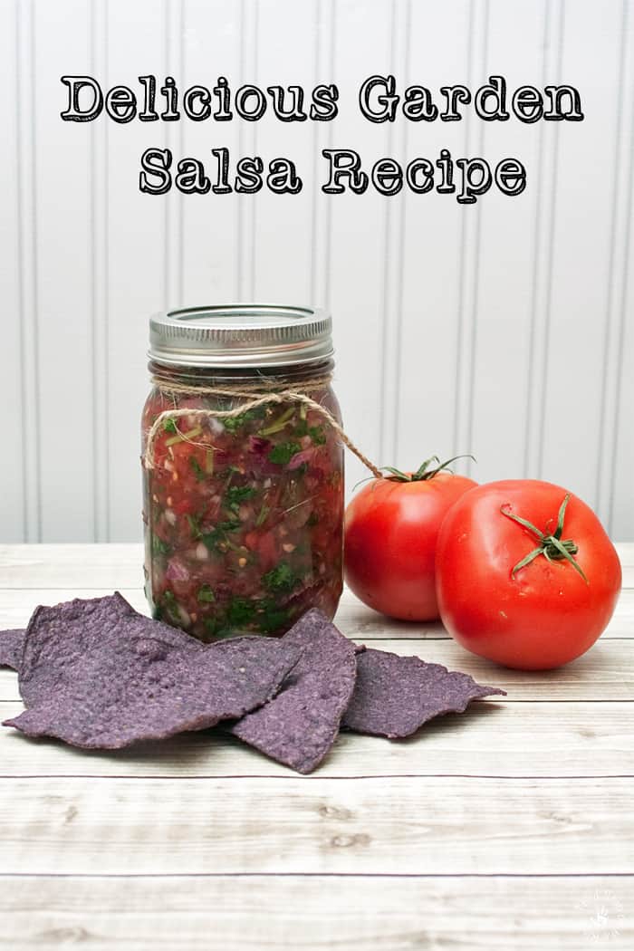 Have You Tried This Delicious Garden Salsa Recipe?