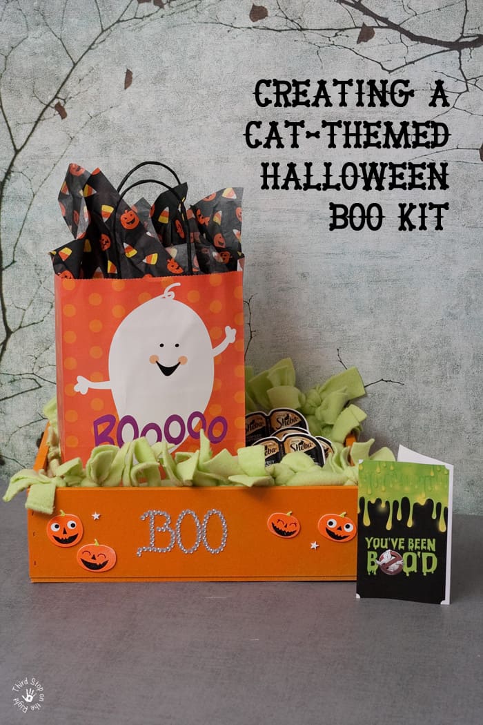 Creating a Cat-Friendly Halloween Boo Kit