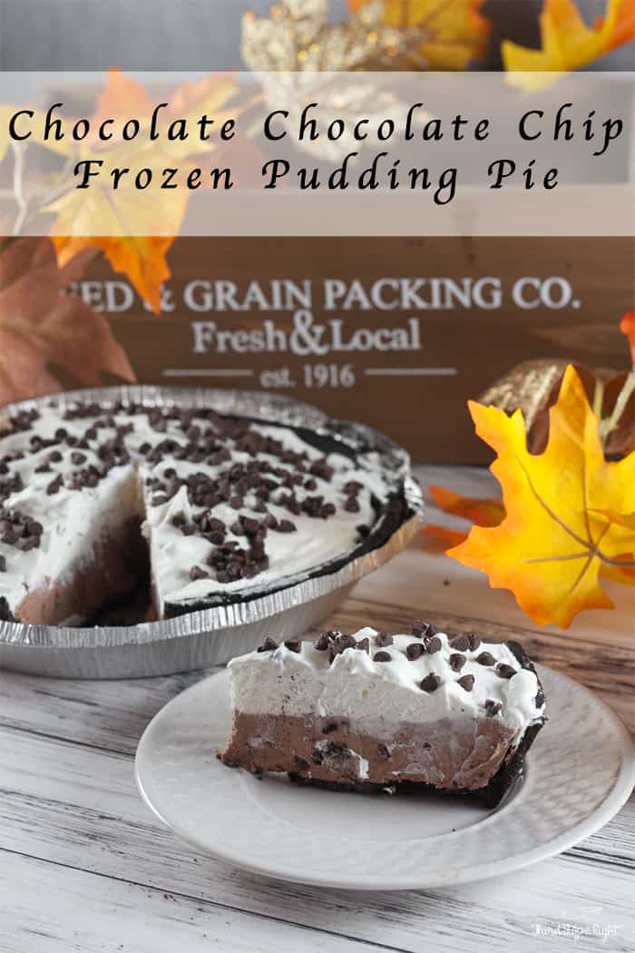 Chocolate Chocolate Chip Frozen Pudding Pie