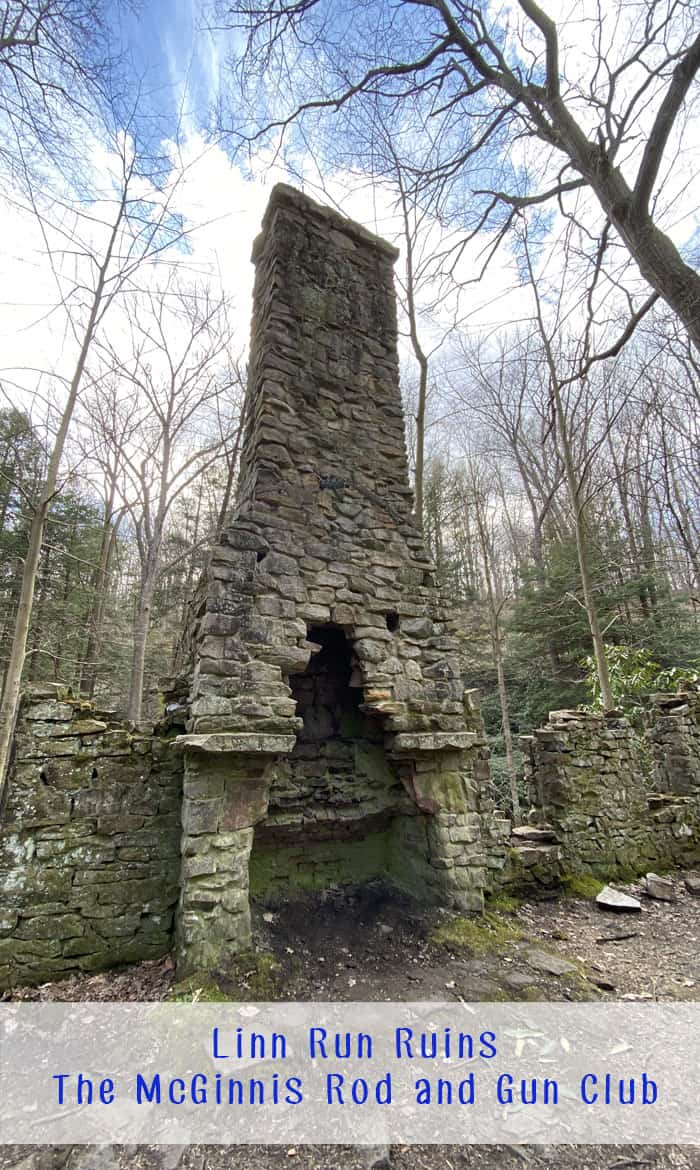 Linn Run Ruins 