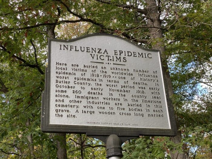 Influenza Victims